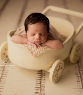 Cart Trolley | Wooden Decorative | Rustic Off White